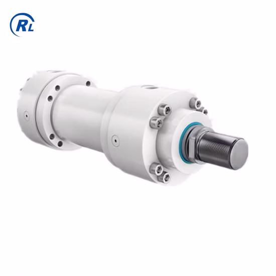 Циндао Ruilan питания сварной электрический гидравлический цилиндр по конкурентоспособной цене